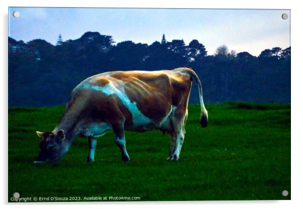 Jersey Cow Acrylic by Errol D'Souza
