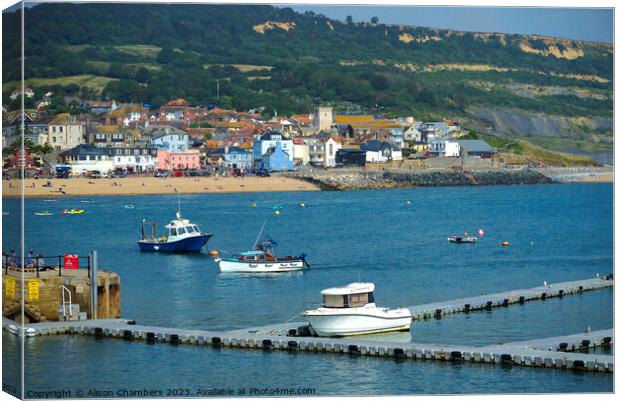 Lyme Regis View Canvas Print by Alison Chambers