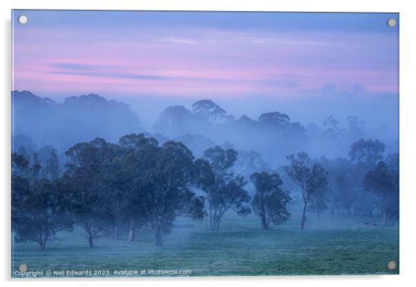 Beautiful Morning Acrylic by Neil Edwards