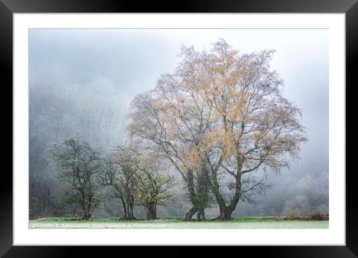 The Changing Seasons Framed Mounted Print by Neil Edwards