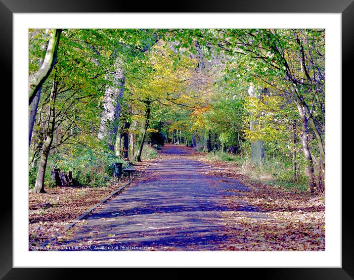 Colours of Autumn. Framed Mounted Print by john hill