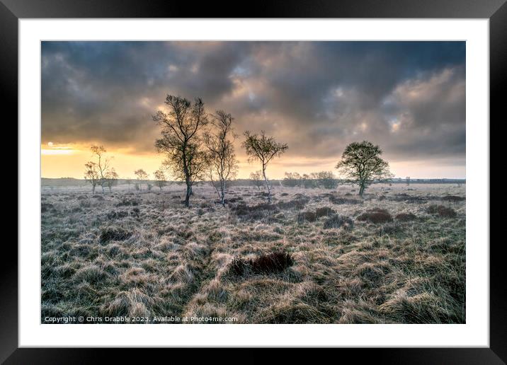 Leash Fen, misty dawn Framed Mounted Print by Chris Drabble