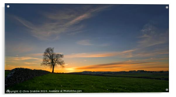 Litton fields sunset Acrylic by Chris Drabble