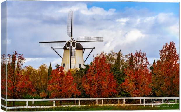 Beautiful White Windmill surrounded with Autumn tr Canvas Print by Maggie Bajada