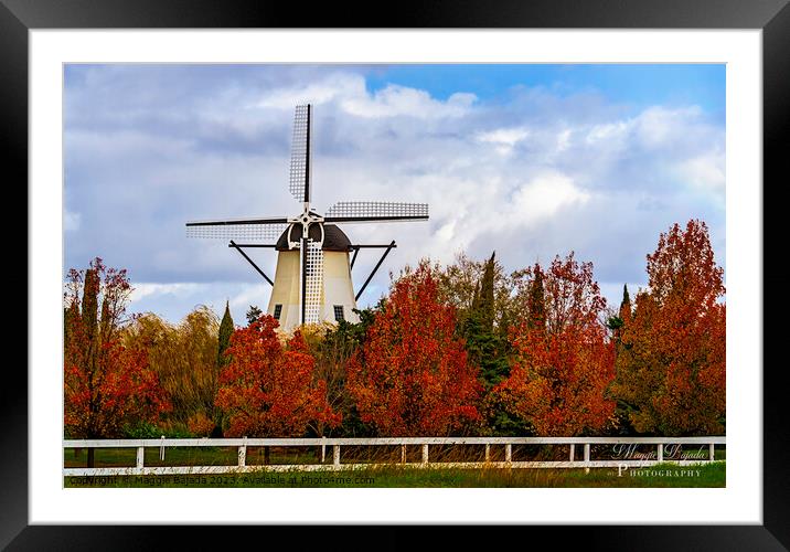 Beautiful White Windmill surrounded with Autumn tr Framed Mounted Print by Maggie Bajada