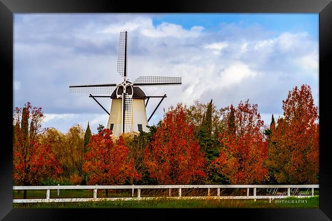 Beautiful White Windmill surrounded with Autumn tr Framed Print by Maggie Bajada