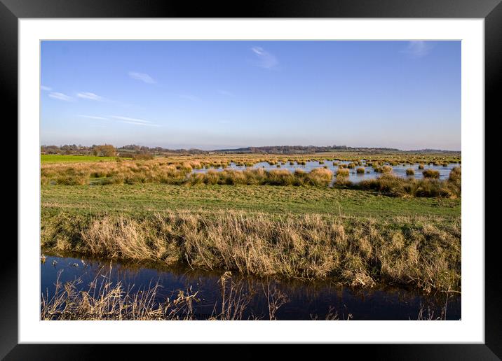 Flooded marshland in East Sussex Framed Mounted Print by Sally Wallis