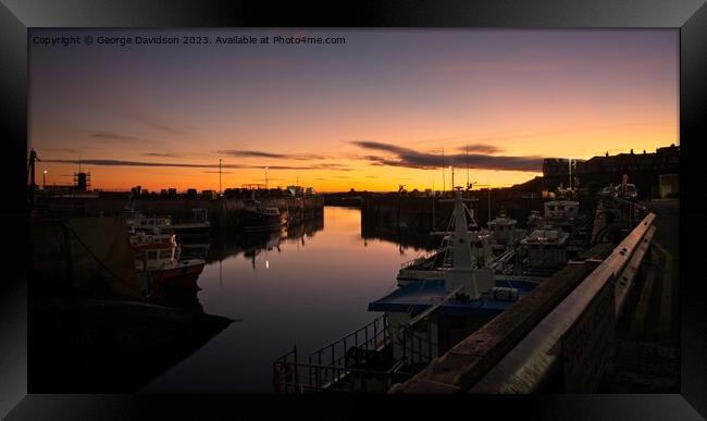 Seahouses Harbour  Framed Print by George Davidson