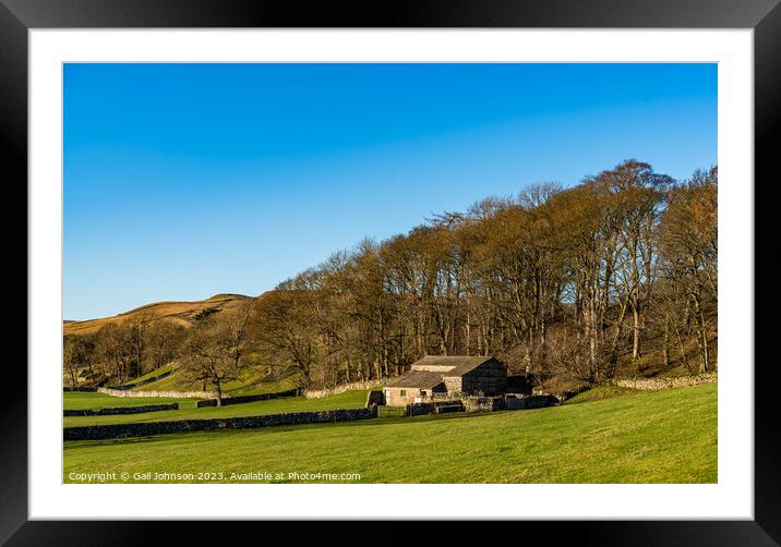 Outdoor grass Framed Mounted Print by Gail Johnson