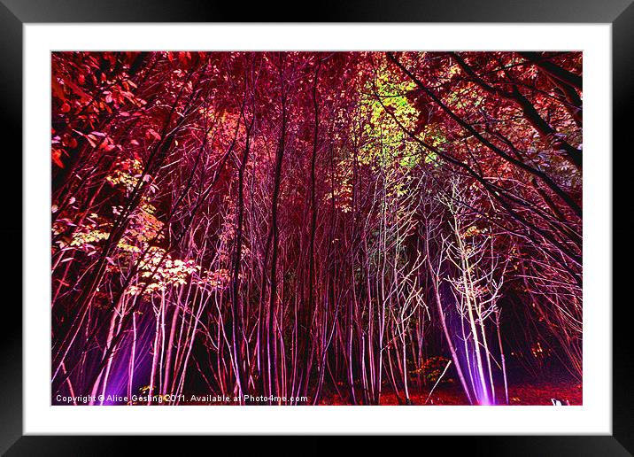 Electric Forest - Bedgebury Framed Mounted Print by Alice Gosling