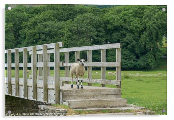 A Sheep Stood Alone on a Wooden Footbridge. Acrylic by Steve Gill