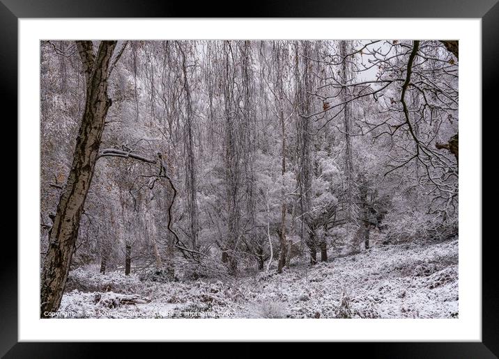A snowy start to a walk in the Uk Framed Mounted Print by Gail Johnson