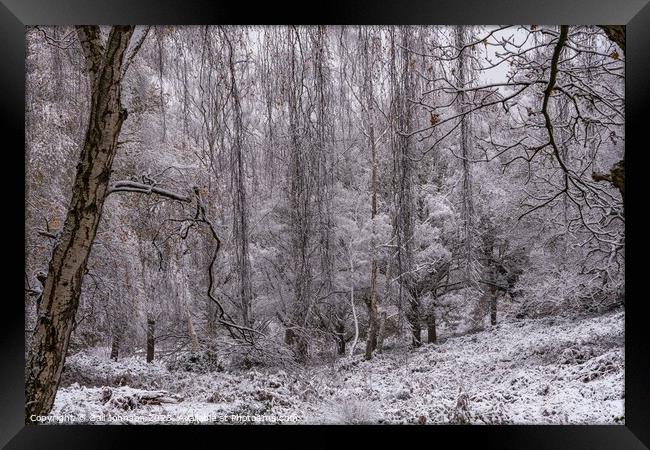 A snowy start to a walk in the Uk Framed Print by Gail Johnson
