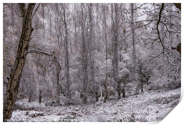 A snowy start to a walk in the Uk Print by Gail Johnson