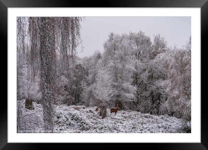 A snowy start to a walk in the Uk Framed Mounted Print by Gail Johnson