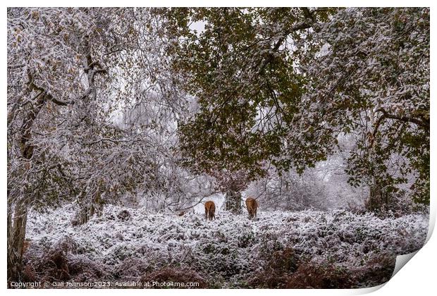 A snowy start to a walk in the Uk with deer  Print by Gail Johnson