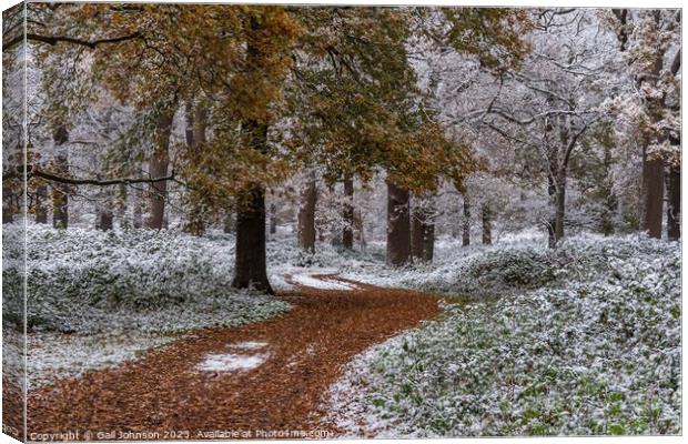 A snowy start to a walk  Canvas Print by Gail Johnson