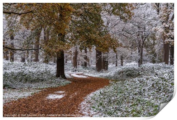 A snowy start to a walk  Print by Gail Johnson