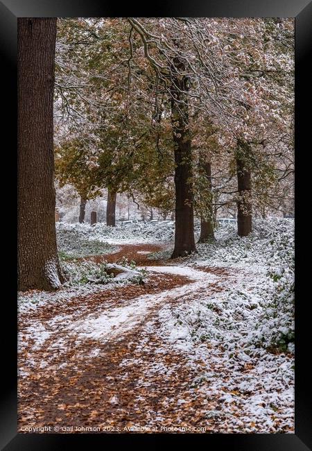 A snowy start to a walk Framed Print by Gail Johnson