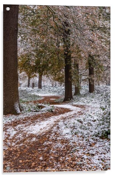 A snowy start to a walk Acrylic by Gail Johnson