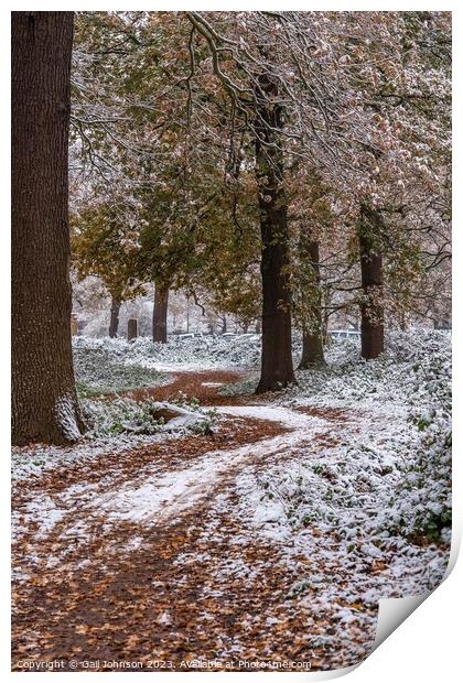 A snowy start to a walk Print by Gail Johnson