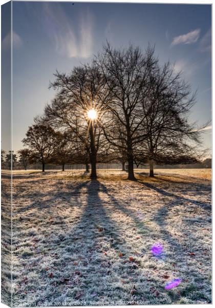 Plant tree Canvas Print by Gail Johnson