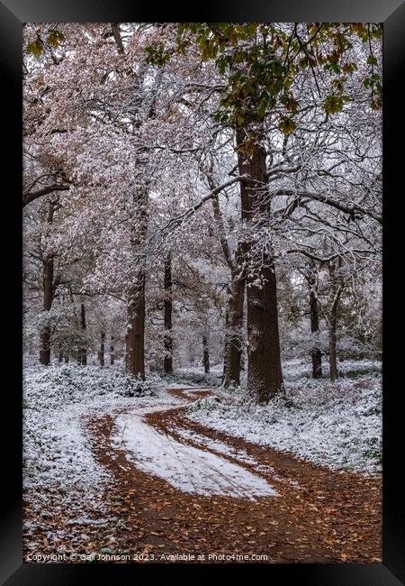 A snowy start to a walk  Framed Print by Gail Johnson