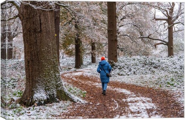 A snowy start to a walk  Canvas Print by Gail Johnson