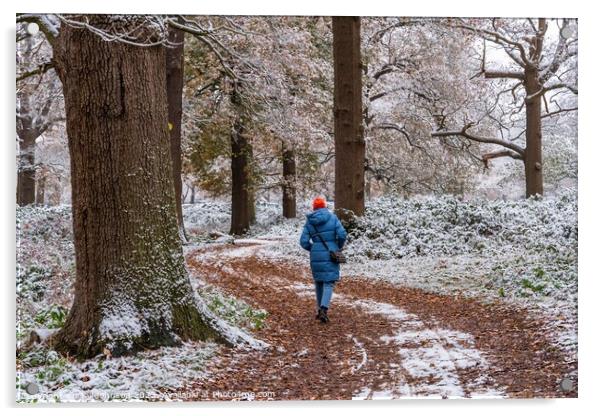 A snowy start to a walk  Acrylic by Gail Johnson