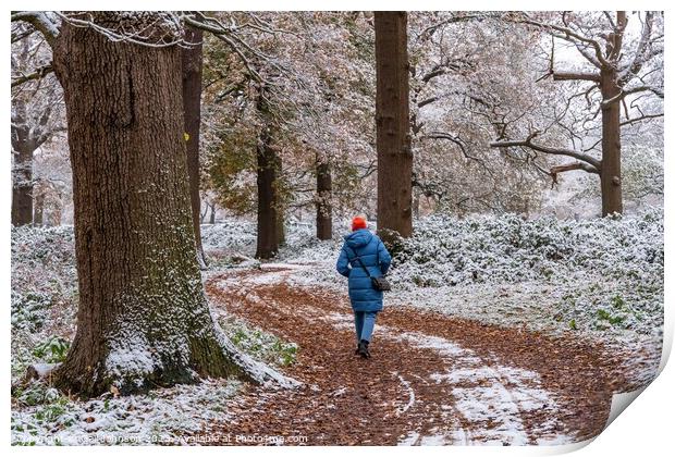 A snowy start to a walk  Print by Gail Johnson