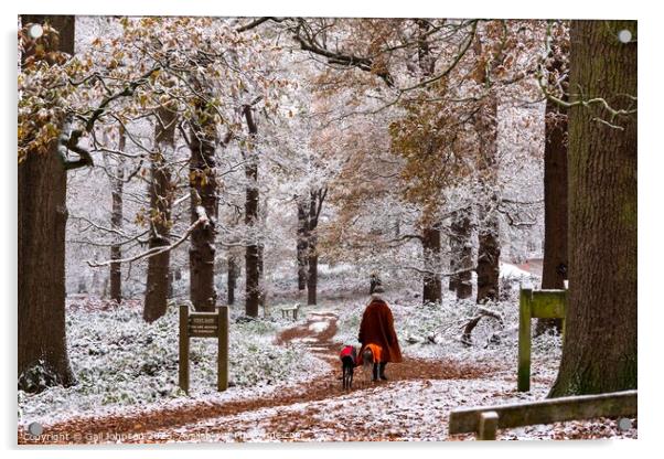 A snowy start to a walk  Acrylic by Gail Johnson