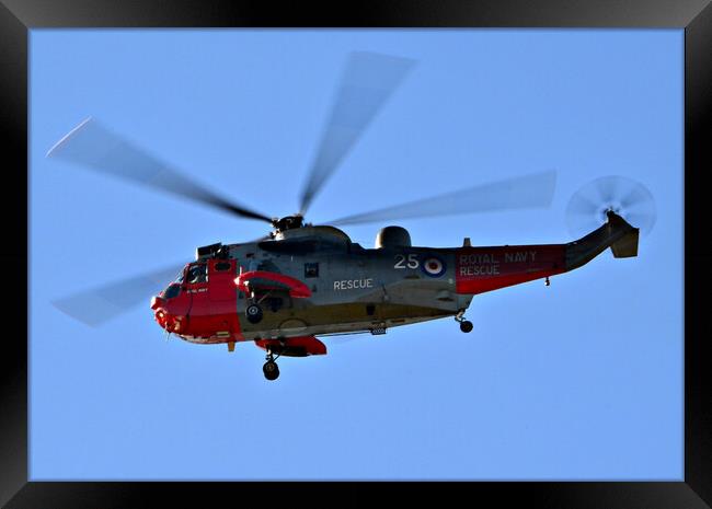 Royal Navy search and rescue Sea King Framed Print by Allan Durward Photography