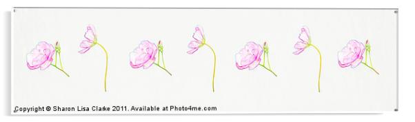 Sweet Blooms Acrylic by Sharon Lisa Clarke
