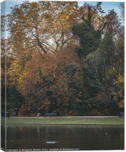 Verulamium Lake Canvas Print by Benjamin Brewty