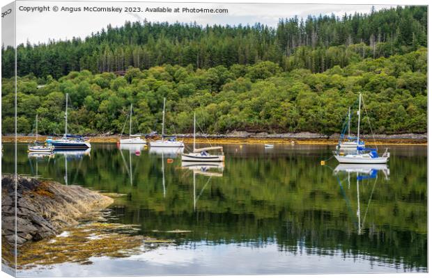 Moored yachts at Salen Jetty, Ardnamurchan Canvas Print by Angus McComiskey