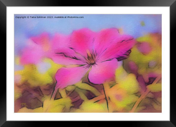 Pretty Pink Flower Framed Mounted Print by Taina Sohlman