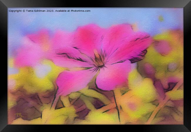 Pretty Pink Flower Framed Print by Taina Sohlman