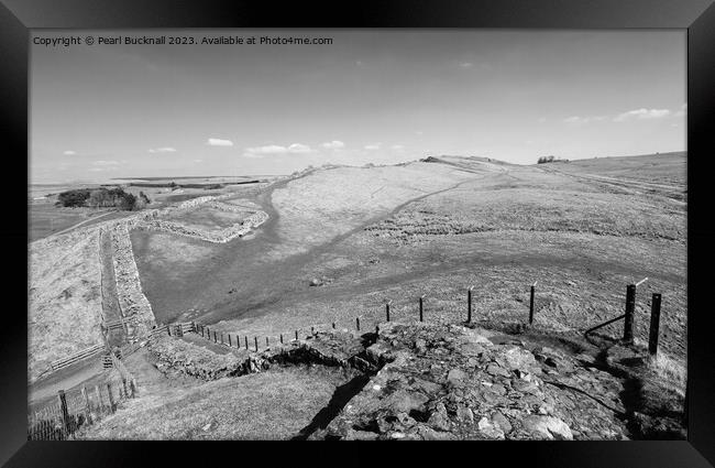 Hadrians Wall and Cawfields Roman Milecastle  Framed Print by Pearl Bucknall