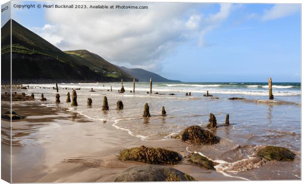Ross Strand on Ring of Kerry Ireland Canvas Print by Pearl Bucknall