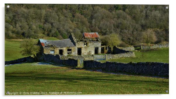The old farm Acrylic by Chris Drabble