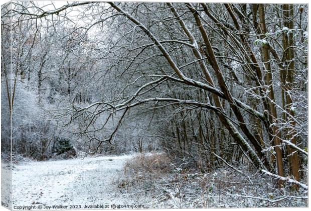 A snow covered woodland walk Canvas Print by Joy Walker