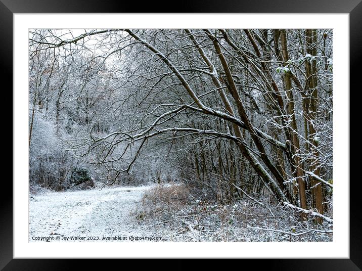 A snow covered woodland walk Framed Mounted Print by Joy Walker