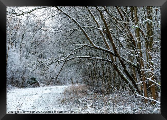 A snow covered woodland walk Framed Print by Joy Walker