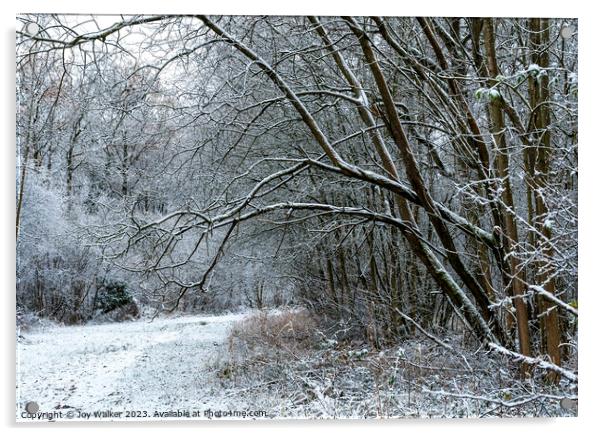 A snow covered woodland walk Acrylic by Joy Walker