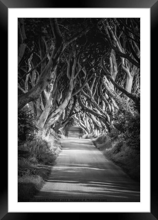 Enchanted Pathway under the Dark Hedges Framed Mounted Print by David McFarland