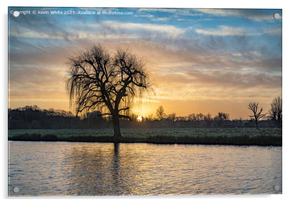 January beautiful sunrise at Bushy Park ponds Acrylic by Kevin White