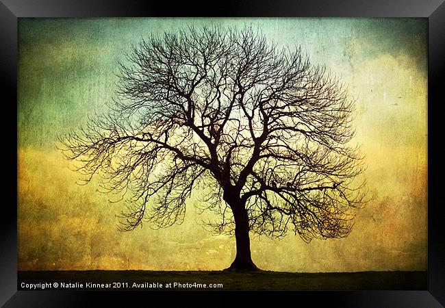Digital Art Tree Silhouette Framed Print by Natalie Kinnear