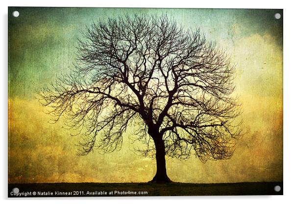 Digital Art Tree Silhouette Acrylic by Natalie Kinnear