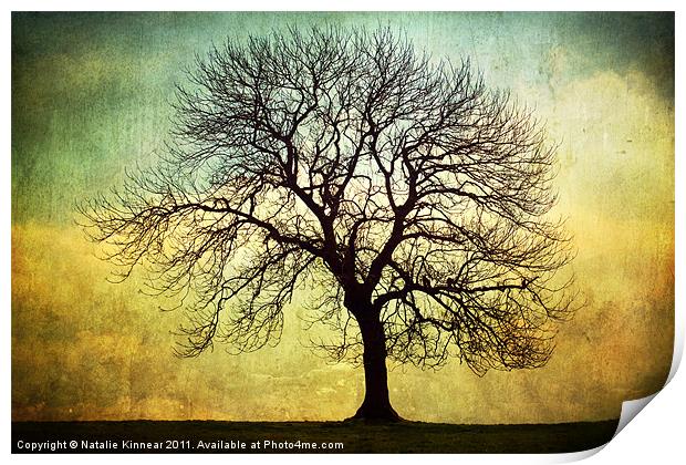 Digital Art Tree Silhouette Print by Natalie Kinnear