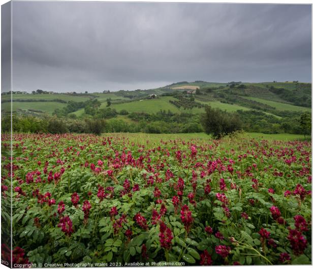 Casoli Landscapes, The Abruzzo, Italy Canvas Print by Creative Photography Wales